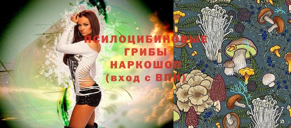 PSILOCYBIN Армянск