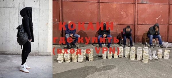 PSILOCYBIN Армянск