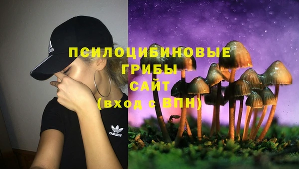 дмт Арсеньев
