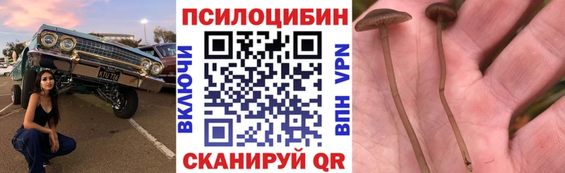 что такое   omg   Псилоцибиновые грибы мицелий  Старый Крым 